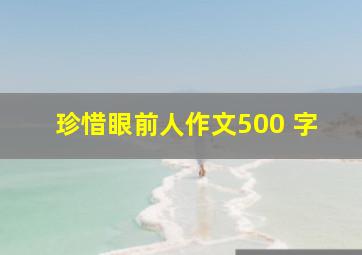 珍惜眼前人作文500 字